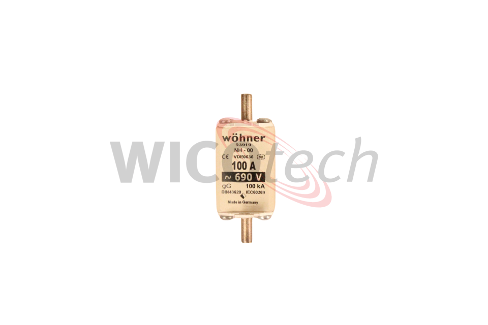 Fuse NH00 690V 100A gL/gG