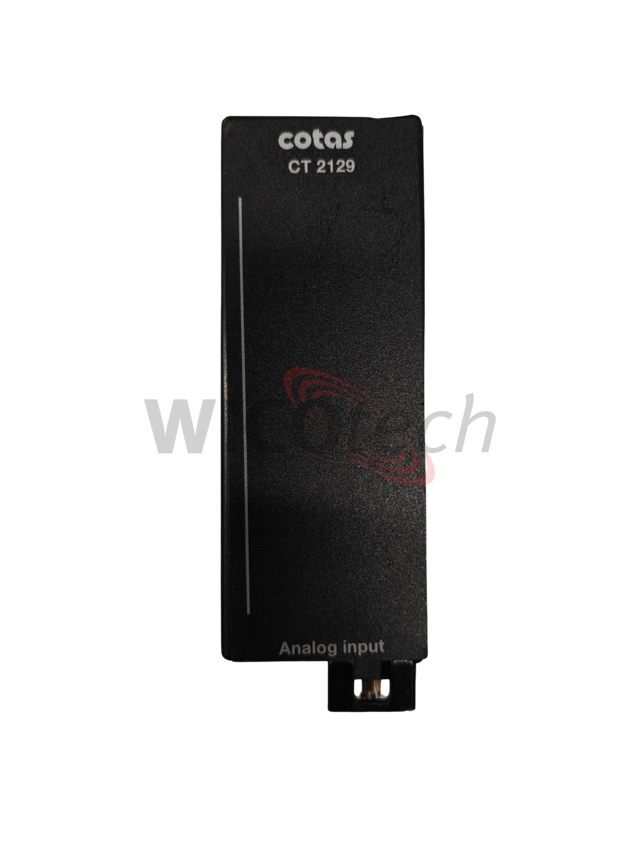 REP CT2129 Analog input